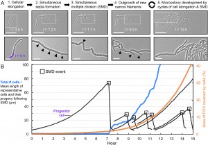 pnas.2408654121fig01