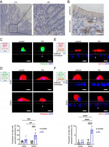 pnas.2318767121fig04